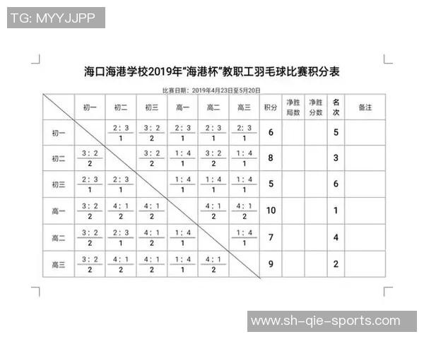 重庆羽毛球队在精英赛中的意识表现分析与总结